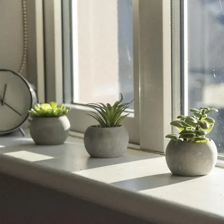 Privatunterkunft En-suite In Town Carlow